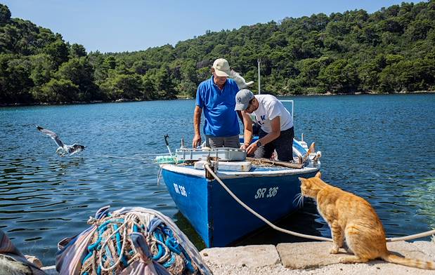 Pêcheur sur le lac du Parc National de Mljet - Croatie 