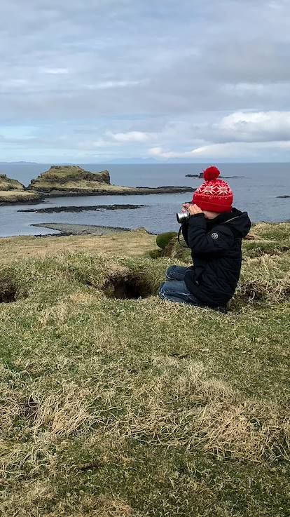 Garçon photographiant un macareux dans la péninsule de Dingle - Irlande