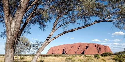 Uluru - Ayers Rock - Australie