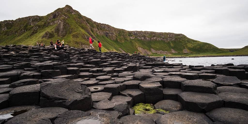  Chaussée des Géants - Antrim - Irlande du Nord - Royaume Uni