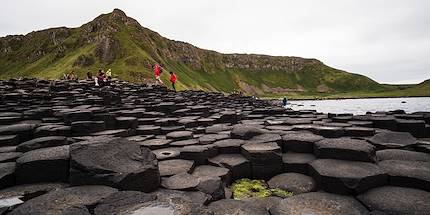  Chaussée des Géants - Antrim - Irlande du Nord - Royaume Uni