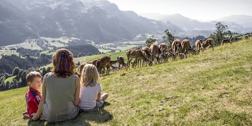 Le Tyrol en famille - Autriche