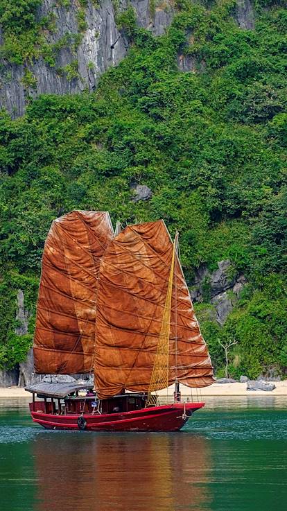 Jonque dans la baie de Ha Long - Vietnam