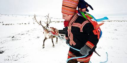 Un homme Sami et son renne - Finnmark - Norvège