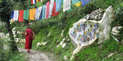 Drapeaux de prière - Dharamsala - Inde