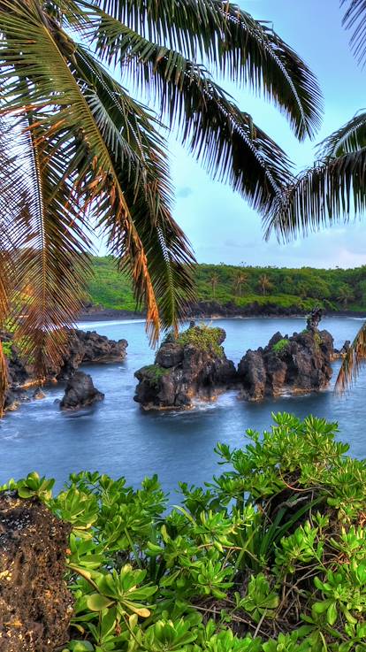 Maui Island - Hawaii - Etats-Unis
