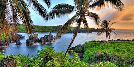 Maui Island - Hawaii - Etats-Unis