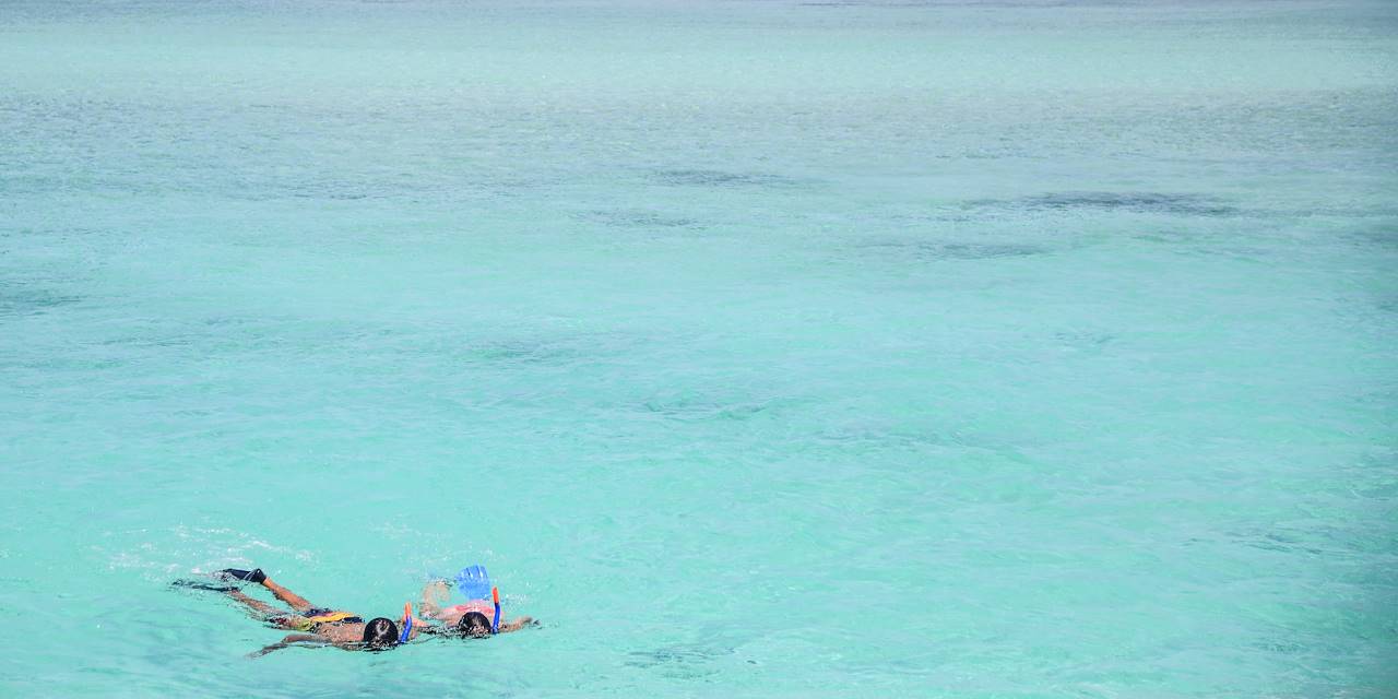 Snorkeling à Rodrigues