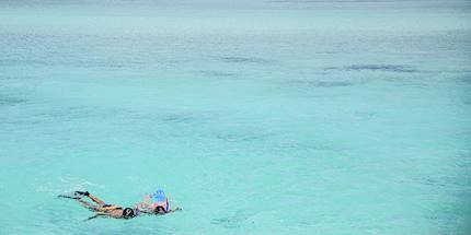 Snorkeling à Rodrigues
