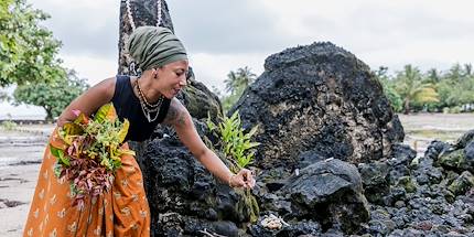 Offrande dans le Marae de Taputapuatea - île de Raiatea - Polynésie