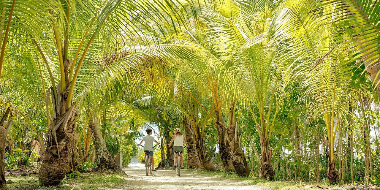 Vélo sous les palmiers des Îles du Vent - Polynésie Française