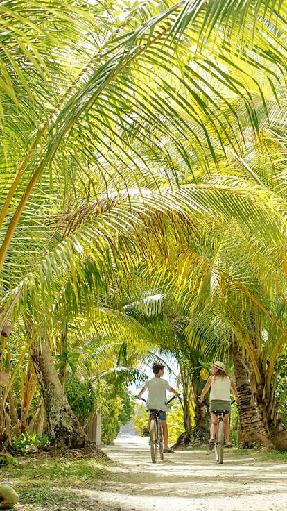 Vélo sous les palmiers des Îles du Vent - Polynésie Française