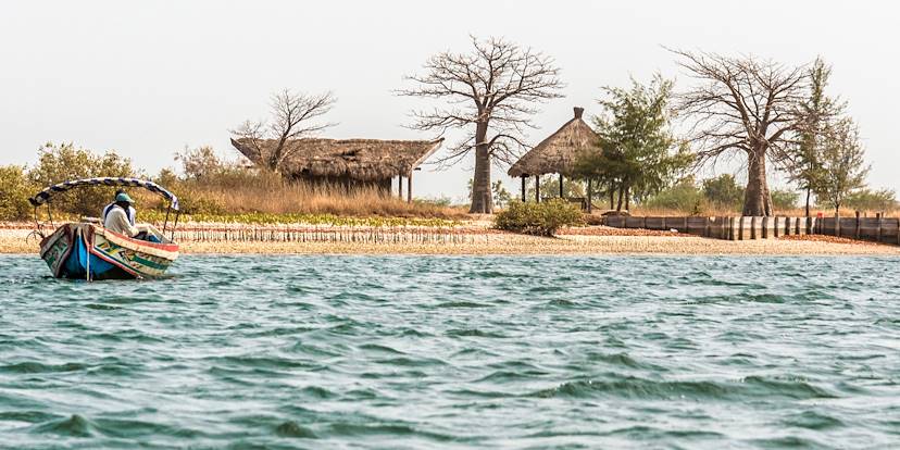 Delta du Siné-Saloum - Sénégal