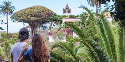 Dragonnier millénaire - Icod de los Vinos - Ile de Tenerife - Îles Canaries - Espagne