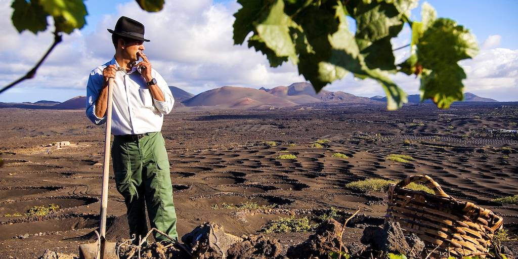 Vignes sur l'île de Lanzarote - Iles Canaries - Espagne