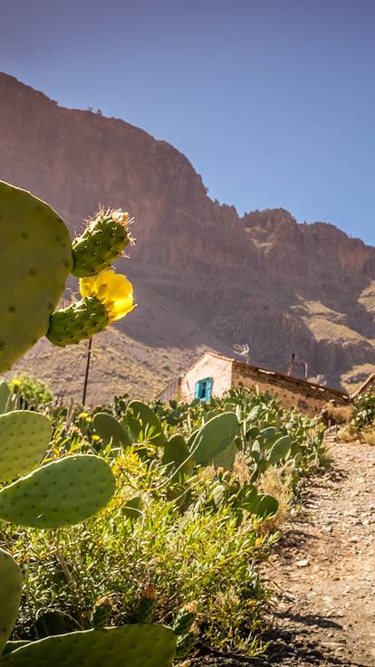 Grande Canarie - Iles Canaries - Espagne