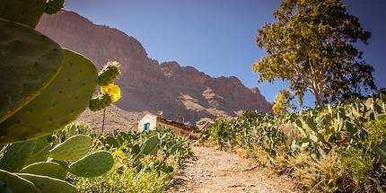 Grande Canarie - Iles Canaries - Espagne