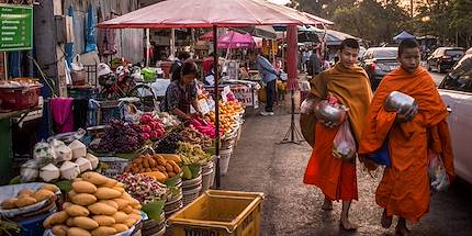 Jeunes moines bouddhistes lors de la cérémonie du Tak Bat - Chiang Mai - Thaïlande