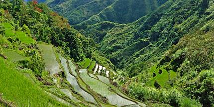Les rizières en terrasse de Banaue - Province d'Ifugao - Philippines