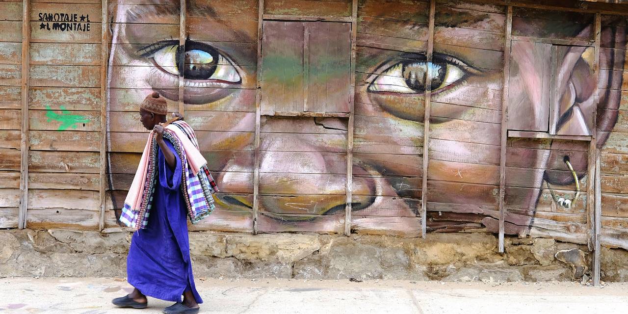 Street art dans le quartier de la Médina de Dakar - Région de Dakar - Sénégal 