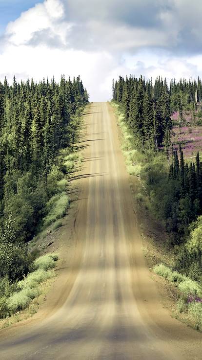 Environs de Fairbanks - Alaska - Etats-Unis