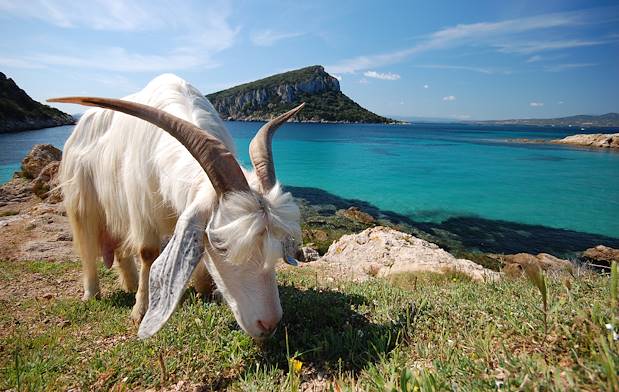 Sardaigne