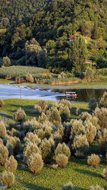 Balade en bateau sur la rivière Crnojevica, alimentant le lac Skadar - Rijeka Crnojevica - Monténégro