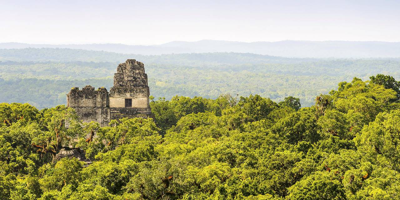 Parc National de Tikal - Département du Peten - Guatemala