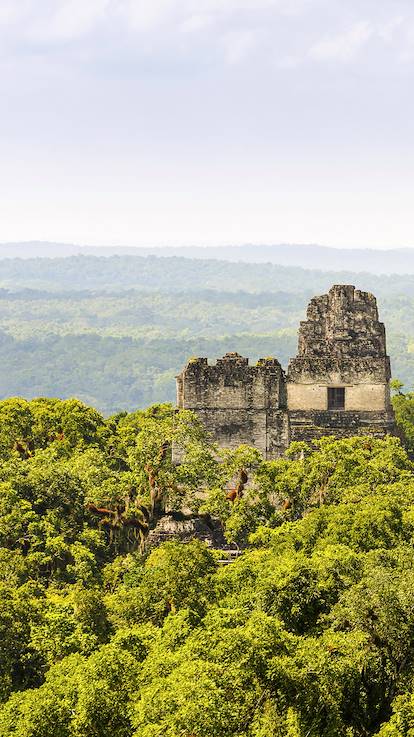 Parc National de Tikal - Département du Peten - Guatemala