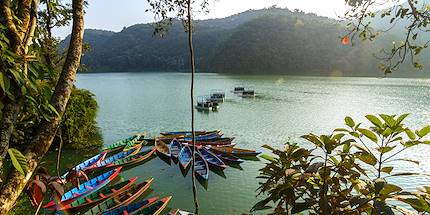 Lac Phewa - Pokhara - Népal