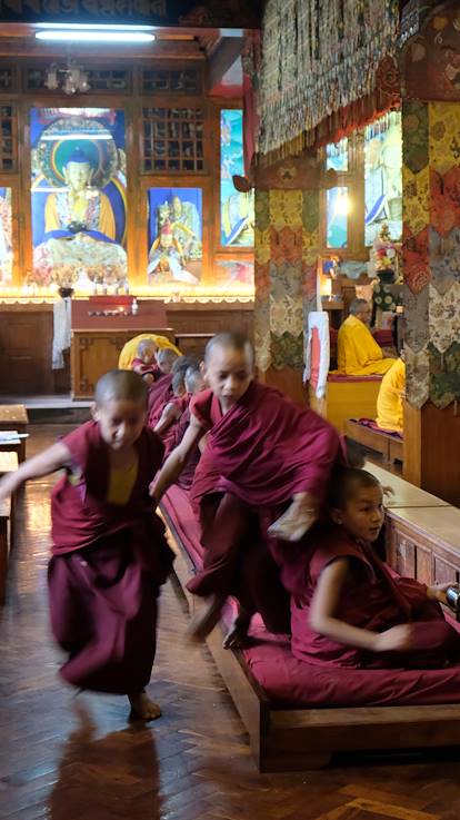 Pooja au monastère Shechen à Bodnath - Région de Katmandou - Népal