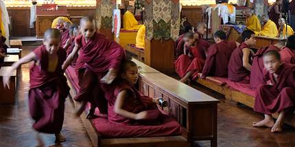 Pooja au monastère Shechen à Bodnath - Région de Katmandou - Népal