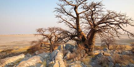 Coucher de soleil sur le Pan de Makgadikgadi - Botswana