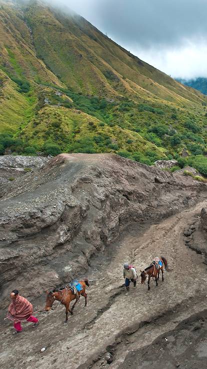 Parc national Bromo-Tengger-Semeru - Île de Java - Indonésie
