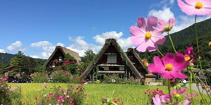 Village de Shirakawa-go - Région du Chubu - Ile de Honshu - Japon