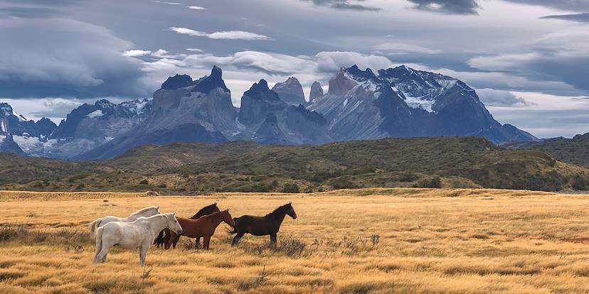 Parc national Torres del Paine - Chili