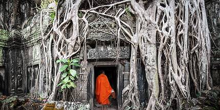 Moine à Angkor Wat au Cambodge