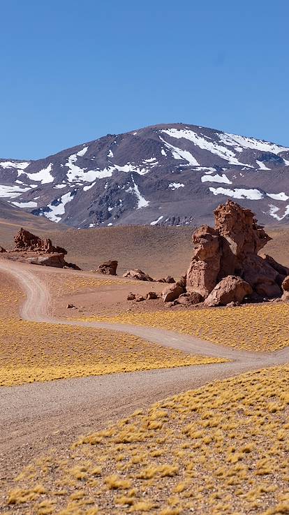Désert d'Atacama - Antofagasta - Chili