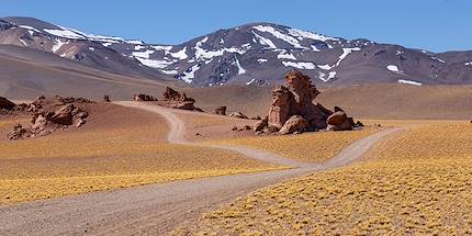 Désert d'Atacama - Antofagasta - Chili