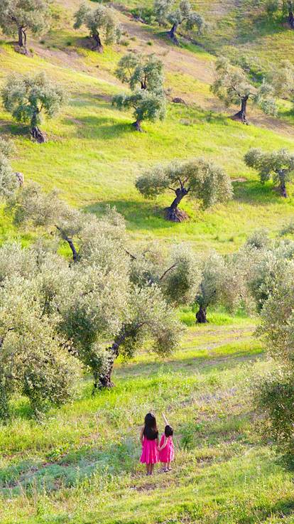 Fillettes dans un champ d'oliviers - Andalousie - Espagne