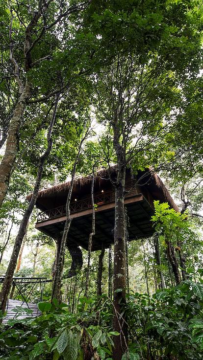 Maison d'hôtes à Wayanad - Inde