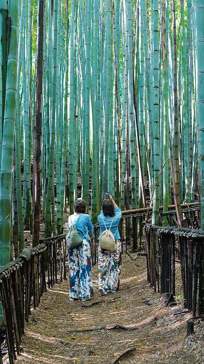 La forêt de bambous de Boseong - Jeolla du Sud - Corée du Sud 