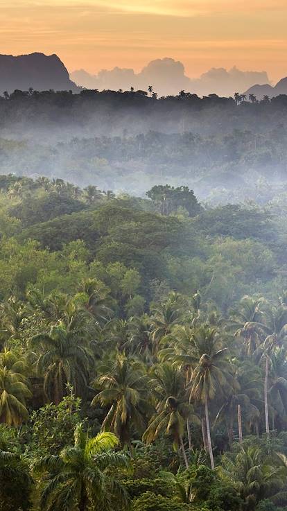 Vue de El Yunque - Baracoa - Province de Guantanamo - Cuba