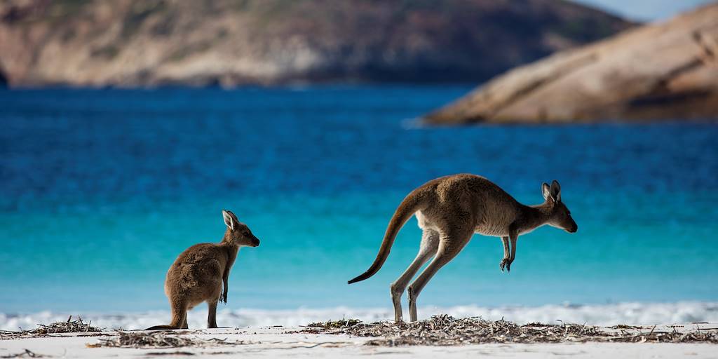 Cape Le Grand - Esperance - Australie