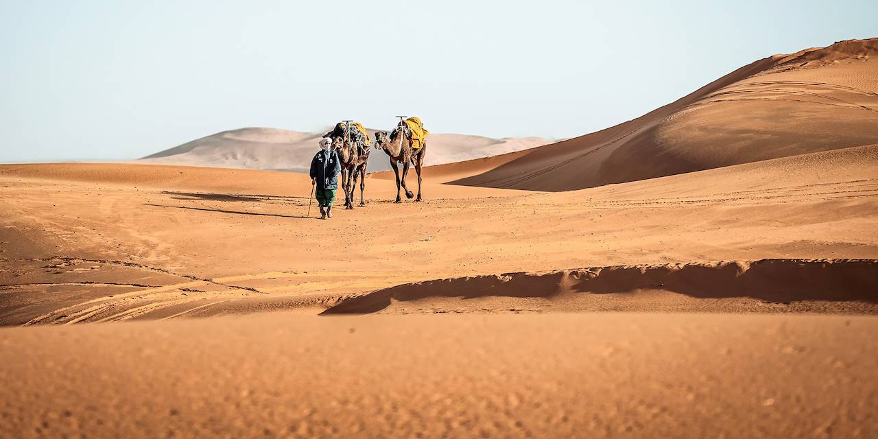 Randonnée chamelière dans le désert - Maroc