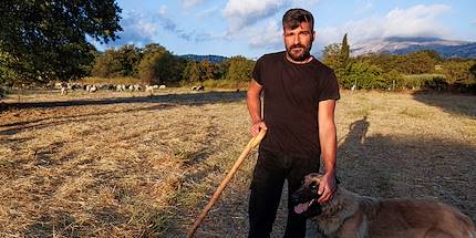 Rencontre avec les bergers du Plateau du Lassithi - Crète - Grèce