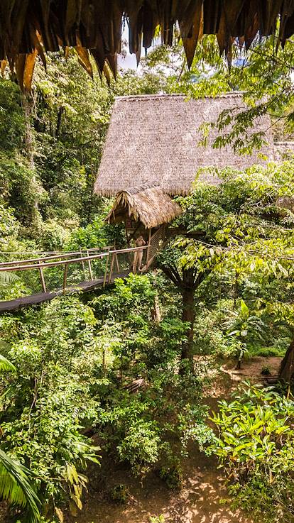 Camp Canopée, carbet dans la jungle - Guyane