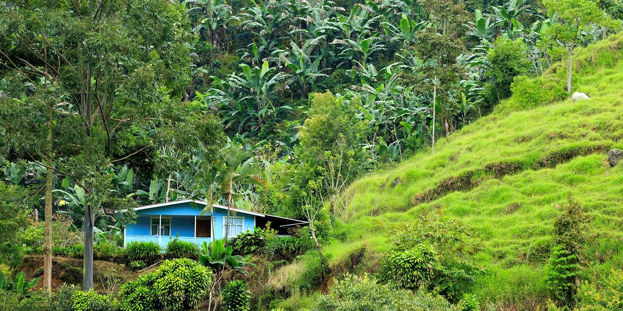 Finca dans une plantation de café - République Dominicaine