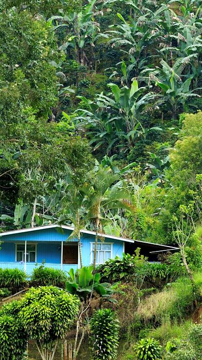 Finca dans une plantation de café - République Dominicaine