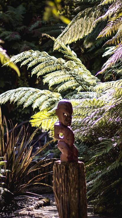 Rotorua - Île du Nord - Nouvelle-Zélande